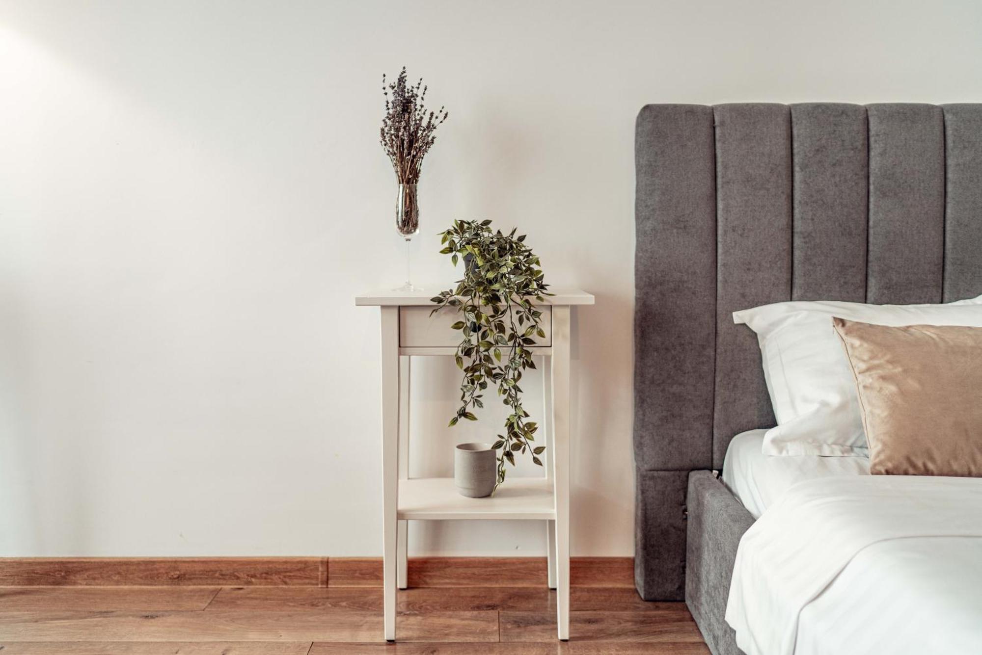 Palas Mall - Cozy Studios And Flats Iasi Ngoại thất bức ảnh